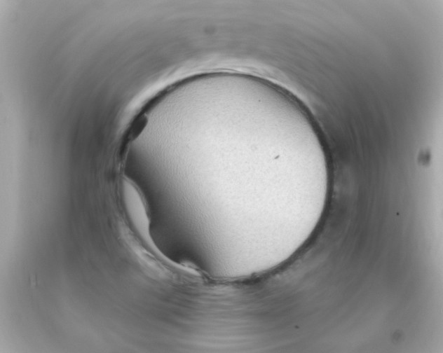 X0000093111507200710241231