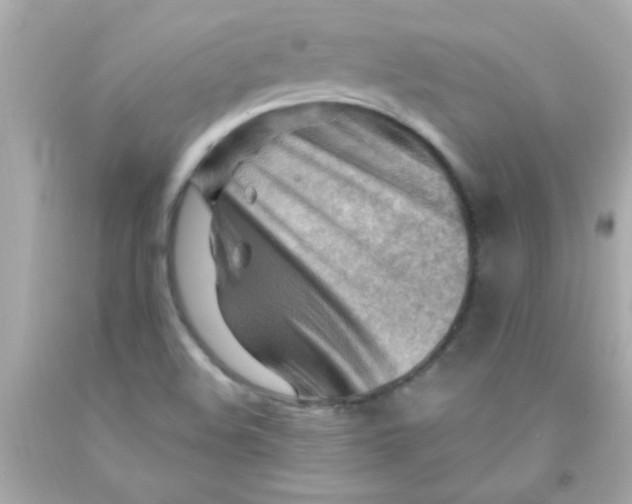 X0000093111508200710241231