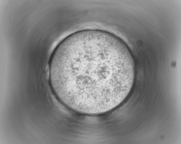 X0000093111509200710241231