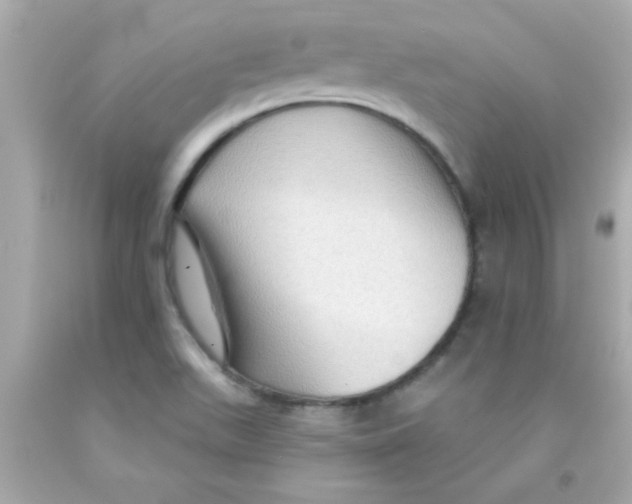 X0000093111511200710241231