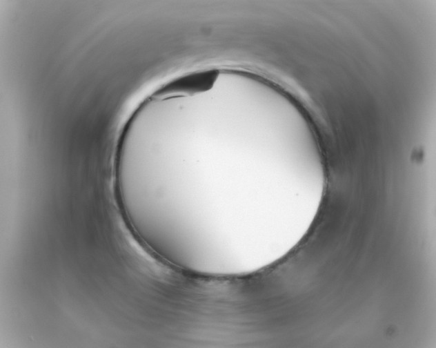 X0000093111512200710241231