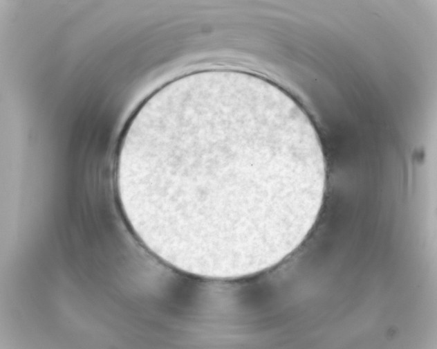 X0000093111514200710241231