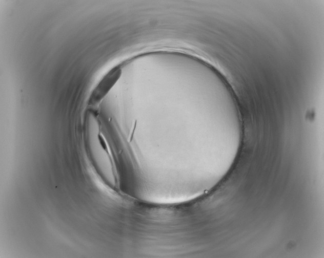 X0000093111515200710241231