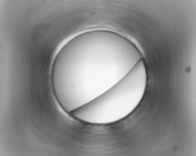 X0000093111516200710241231