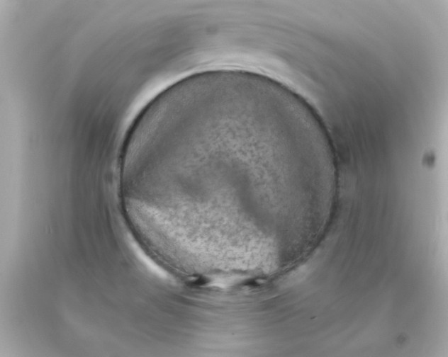 X0000093111517200710241231