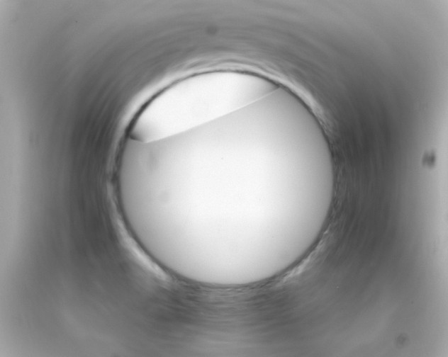 X0000093111518200710241231