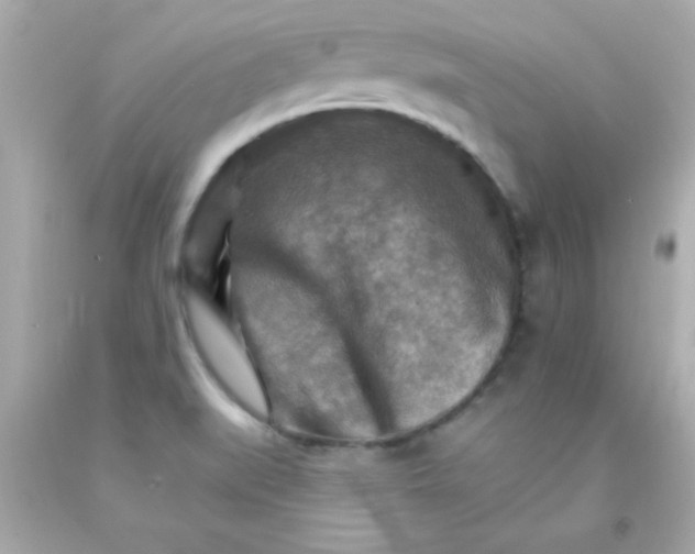 X0000093111519200710241231