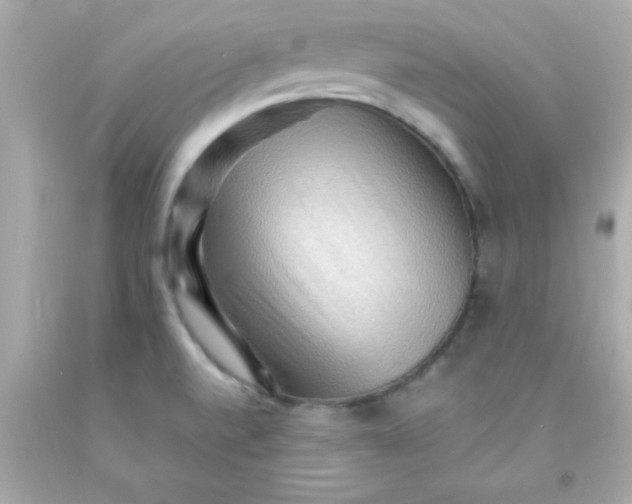 X0000093111520200710241231