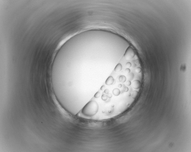 X0000093111521200710241231