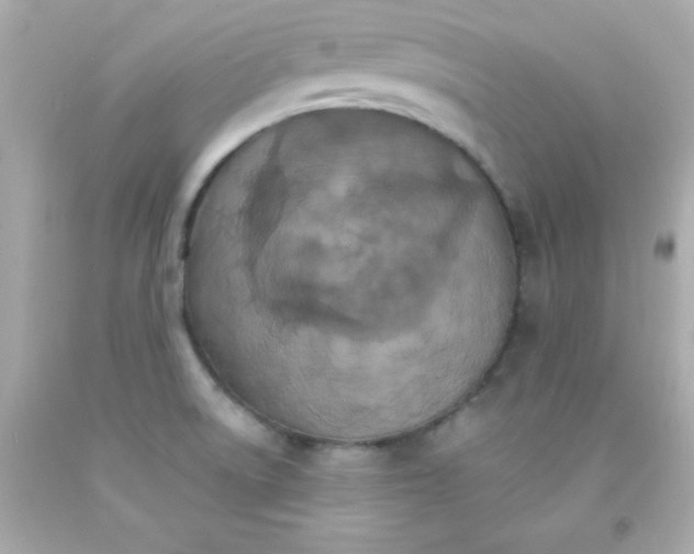 X0000093111522200710241231