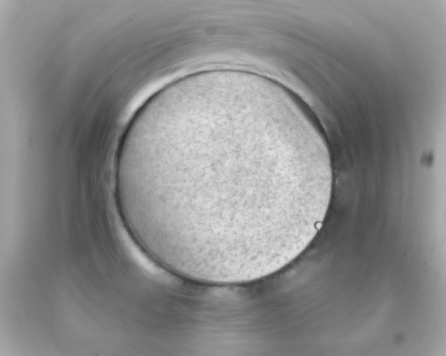 X0000093111523200710241231