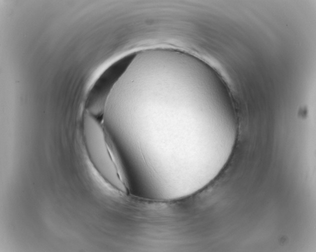 X0000093111524200710241231