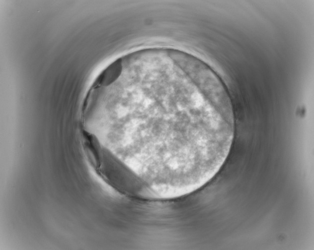 X0000093111527200710241232