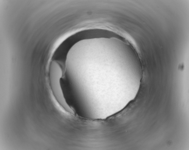 X0000093111528200710241232