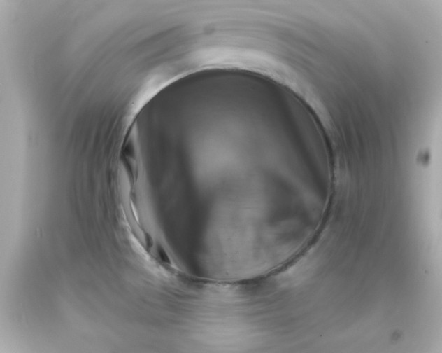 X0000093111529200710241232