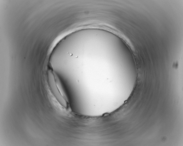 X0000093111530200710241232