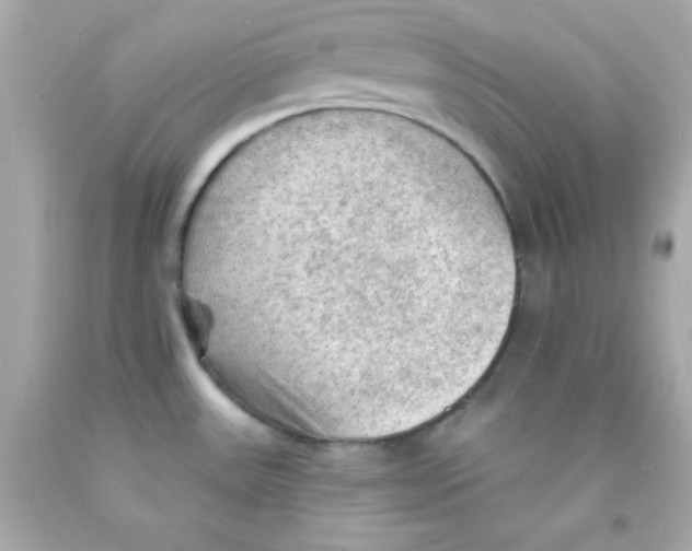 X0000093111531200710241232