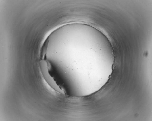 X0000093111532200710241232