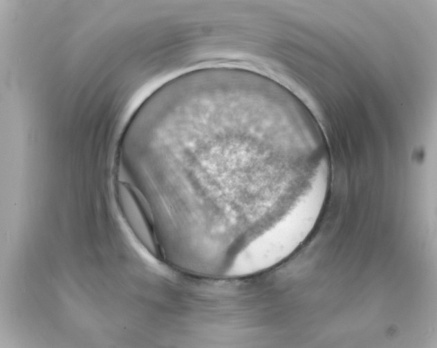 X0000093111533200710241232