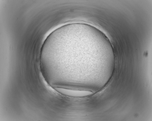 X0000093111534200710241232