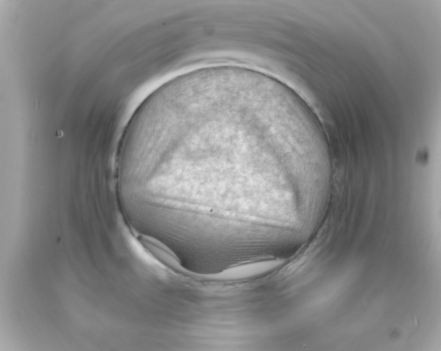 X0000093111535200710241232