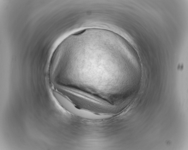 X0000093111536200710241232