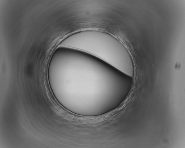 X0000093120001200709261024