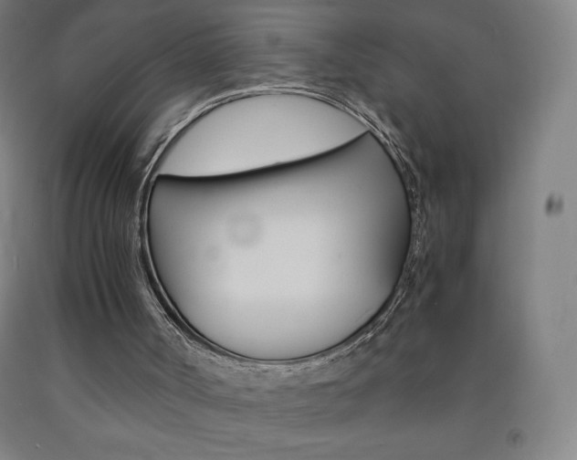 X0000093120002200709261024