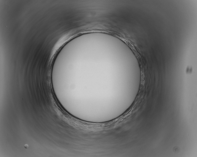 X0000093120004200709261024