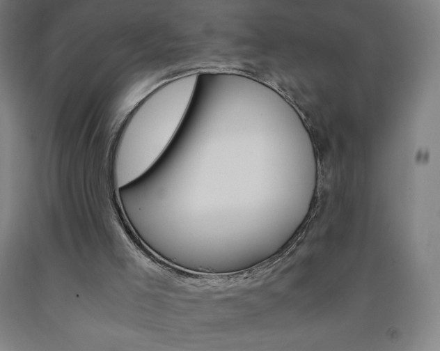 X0000093120005200709261024