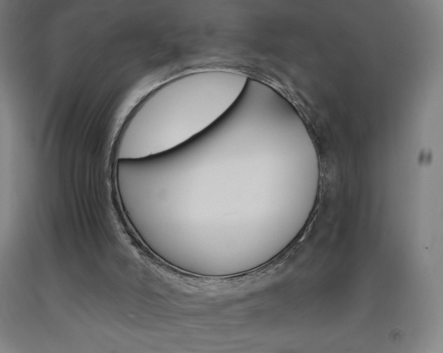 X0000093120006200709261024