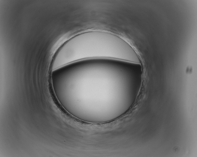 X0000093120007200709261024