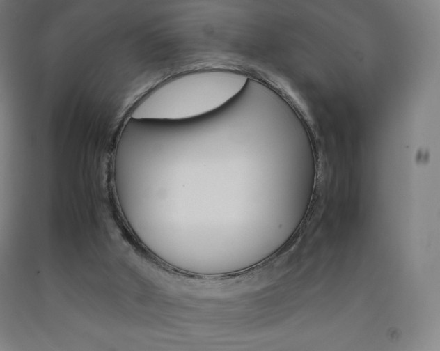 X0000093120010200709261024