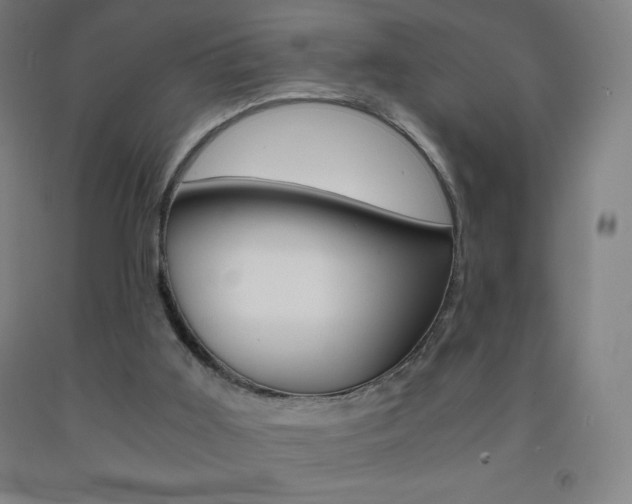 X0000093120011200709261024