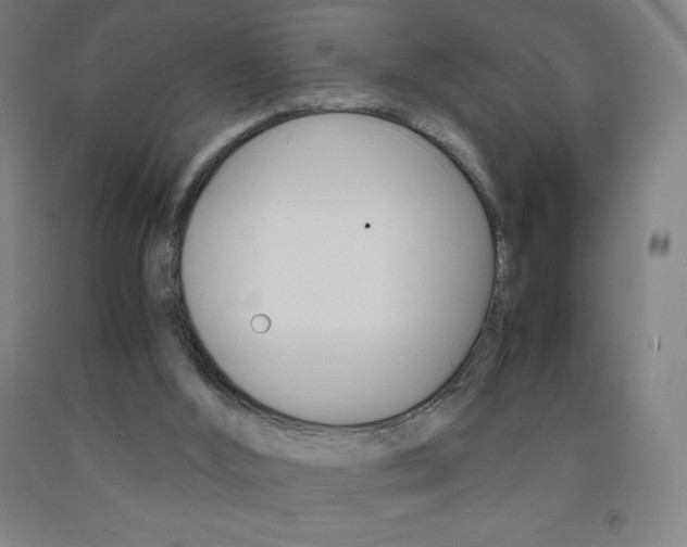 X0000093120012200709261024