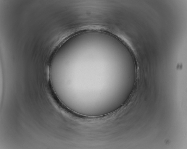 X0000093120013200709261024