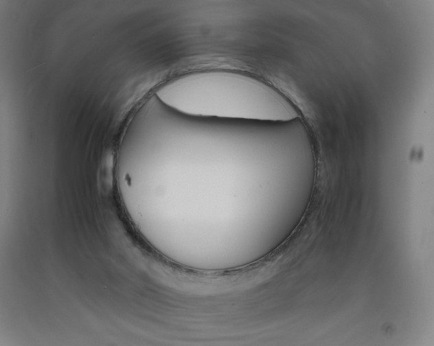 X0000093120014200709261024