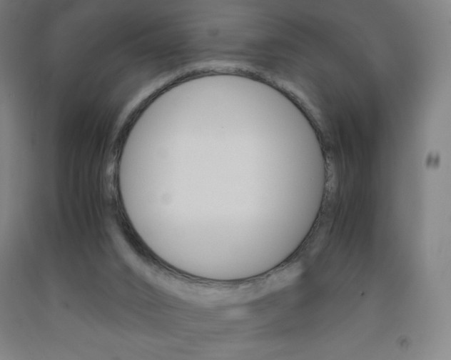 X0000093120016200709261024