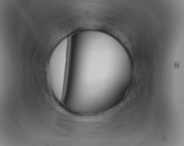 X0000093120017200709261024