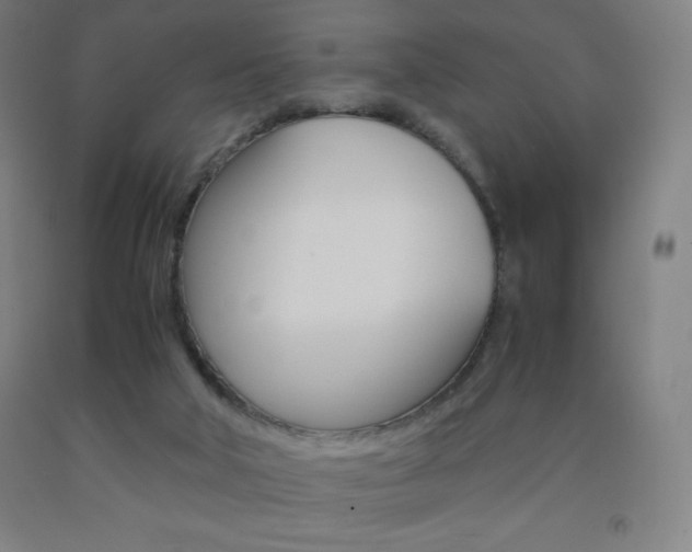 X0000093120018200709261024