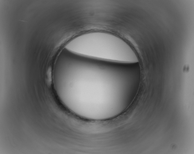 X0000093120020200709261024