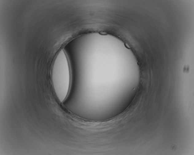 X0000093120023200709261024