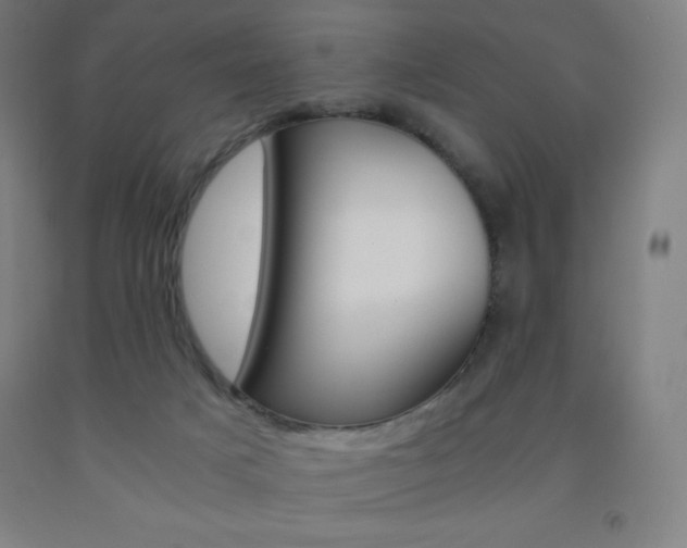 X0000093120025200709261024