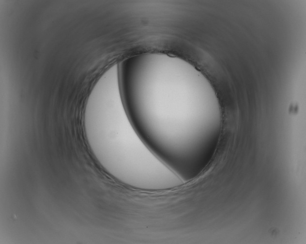 X0000093120029200709261023