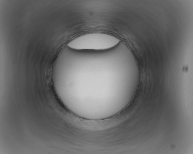 X0000093120030200709261023
