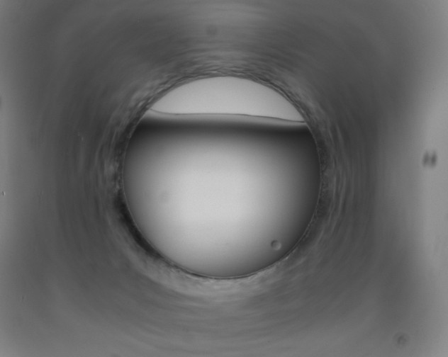X0000093120031200709261023