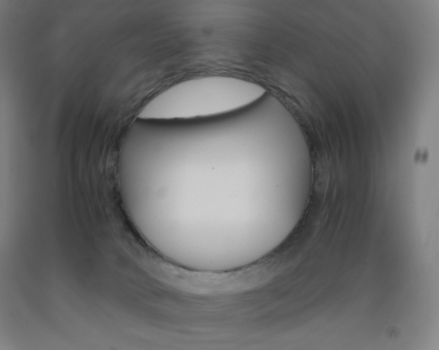 X0000093120034200709261023