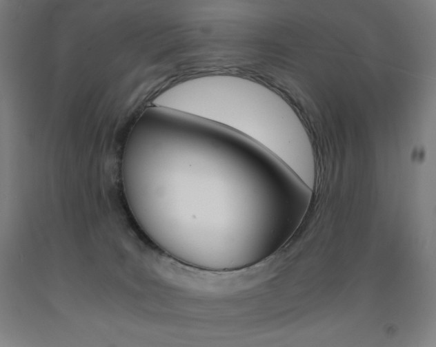 X0000093120035200709261023