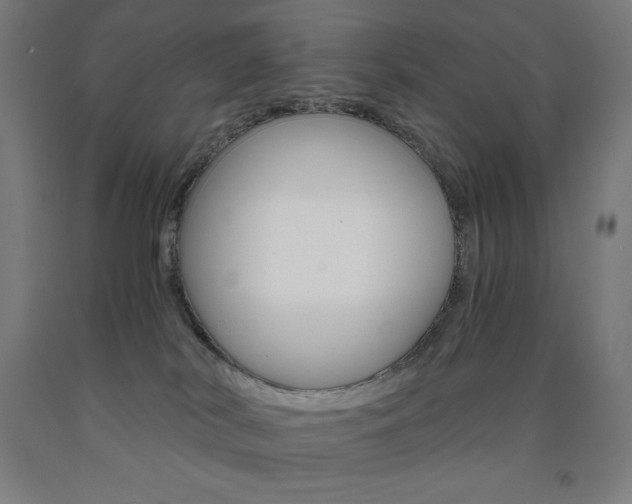 X0000093120038200709261023
