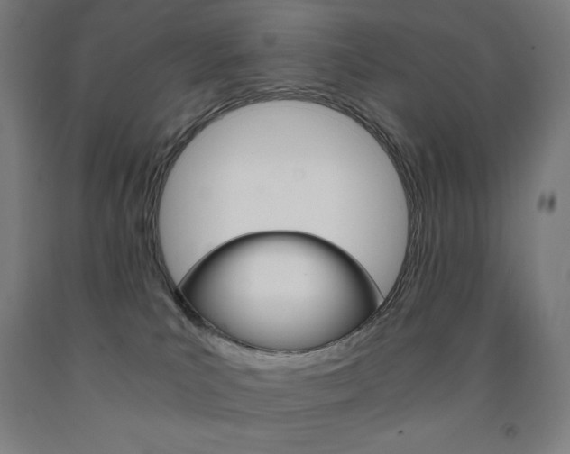 X0000093120039200709261023